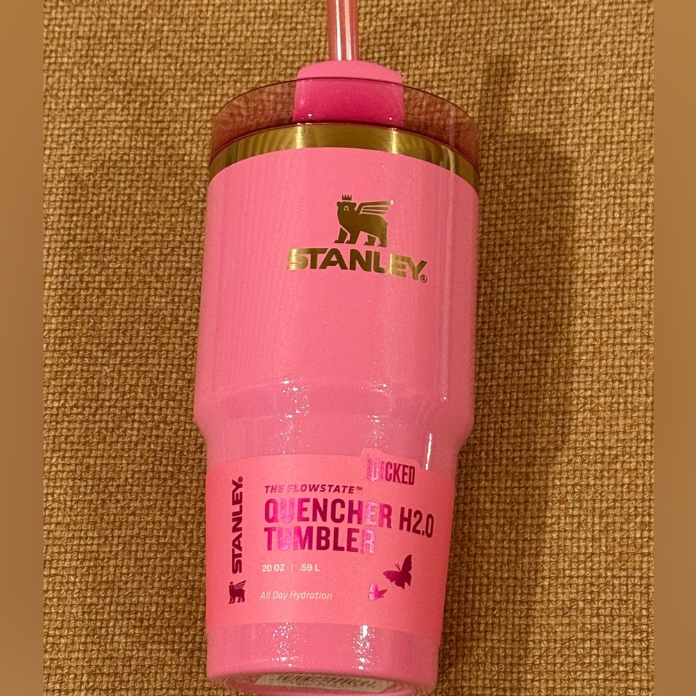 Stanley 20oz Wicked/Target Collection